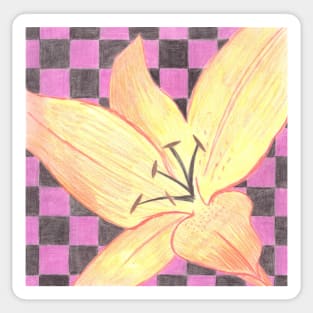 Lily Flower in coloured pencil Sticker